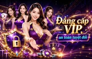 xinjiebi app
